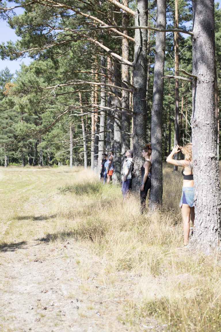 Parakosm festivāls